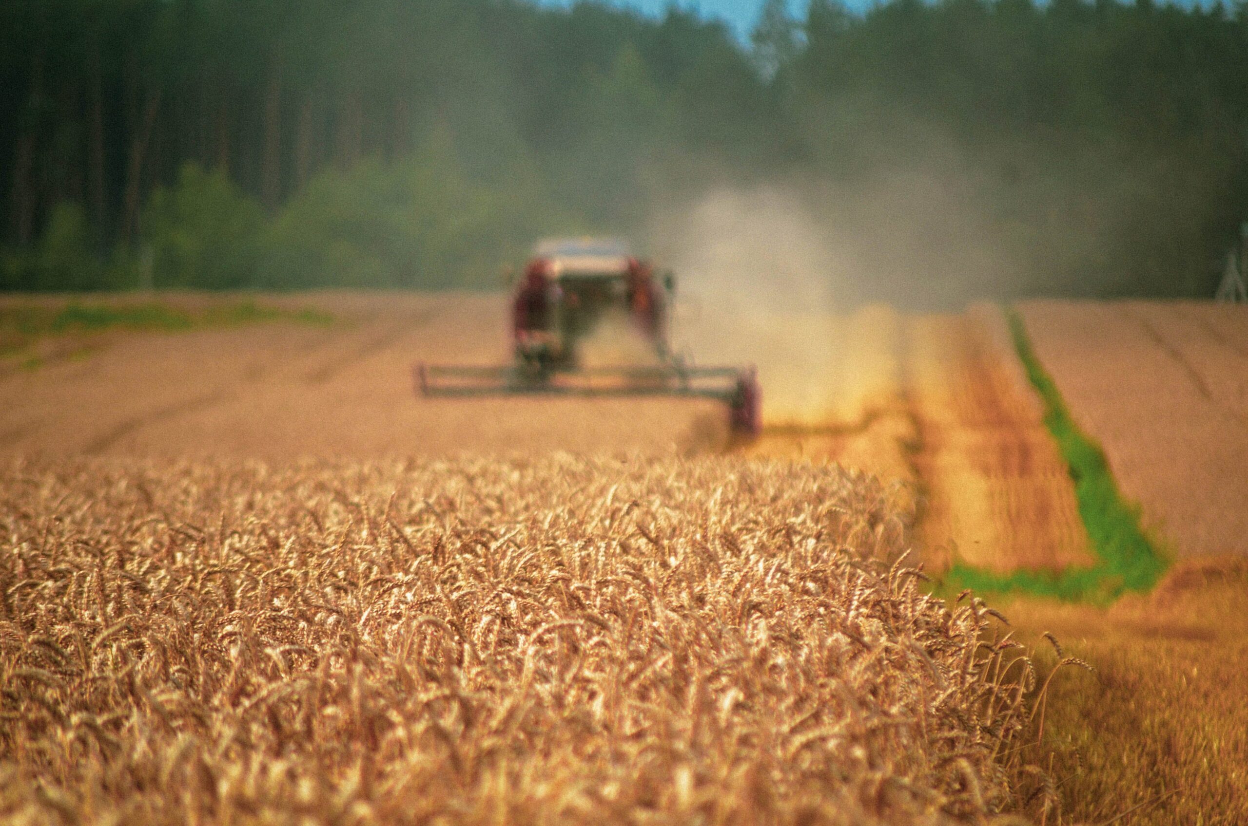 pexels-nikita-karpovich-5732561